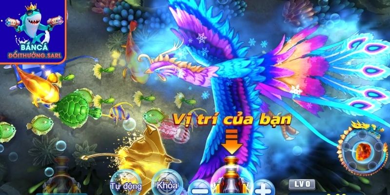 Hiển thị thông tin mồi và hệ số thưởng
